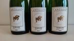 Cantillon - Geuze 2021 - 75cl - 3 flessen, Verzamelen, Nieuw