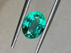 1 pcs  Vert Émeraude  - 1.44 ct - International Gemological, Nieuw
