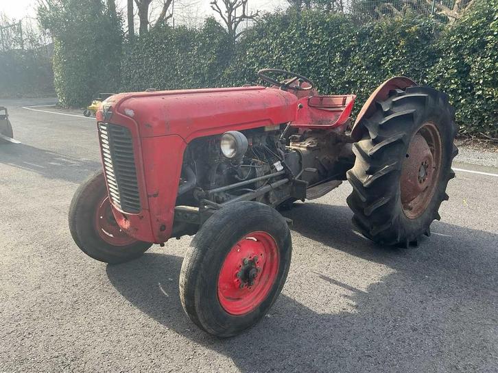Massey Ferguson - 35 - Vintage Tractor - 1956, Zakelijke goederen, Landbouw | Tractoren