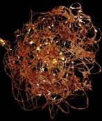 Renata Giannelli - FIORE DI LUCE, Antiek en Kunst