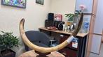 Wolharige mammoet - Gefossiliseerde slagtand - tusk - 146 cm