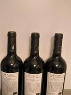 2021 La Torre de Arínzano, Merlot Agricultura Biologica -, Nieuw