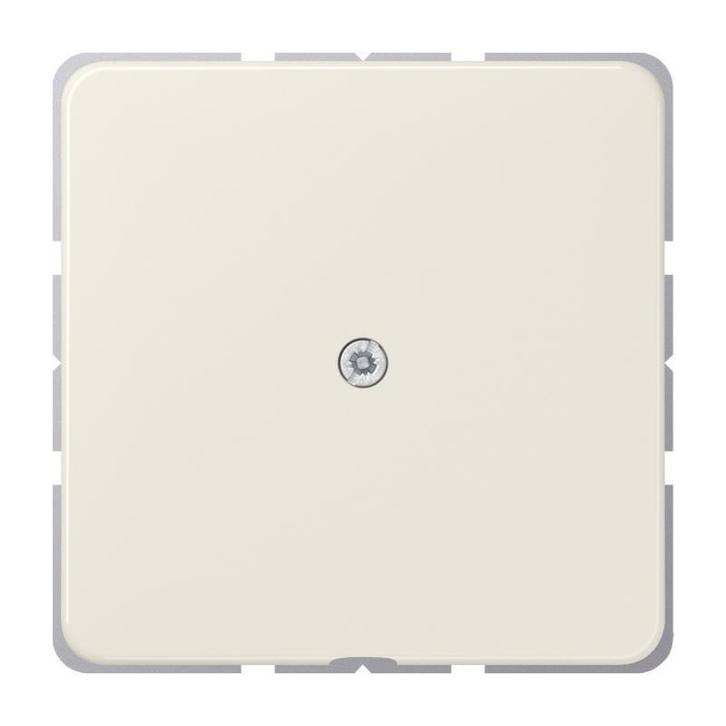 Jung CD500 Inlegplaat Schakelkast - 590A, Doe-het-zelf en Bouw, Elektriciteit en Kabels, Verzenden