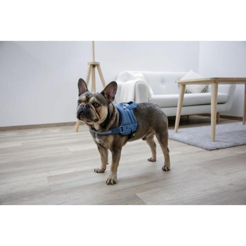 Harnas masetro 2.0 petrol -  45cm-60cm met adreskoker -, Dieren en Toebehoren, Honden-accessoires, Nieuw
