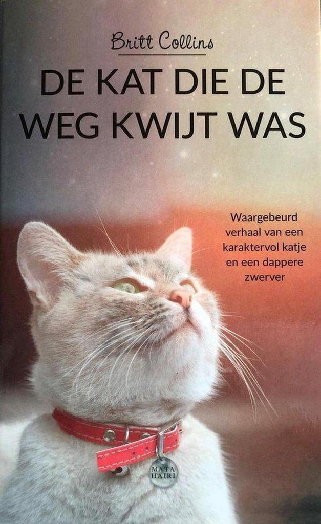 De kat die de weg kwijt was 9789044360356 Britt Collins, Boeken, Literatuur, Zo goed als nieuw, Verzenden