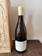 2020 Hubert Lamy haute densité - Criots-Bâtard-Montrachet, Collections