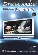 Dreamwindow - flamingos op DVD, Verzenden