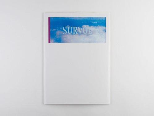 Valentin Degnieau - SURVOL, Antiek en Kunst, Kunst | Schilderijen | Modern