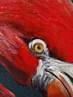 Tomasz Bednarski (1965) - Flamingo