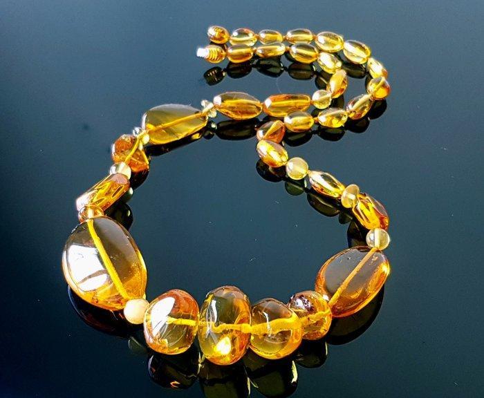 Amber Zeldzame natuurlijke Baltische amberketting met, Verzamelen, Mineralen en Fossielen