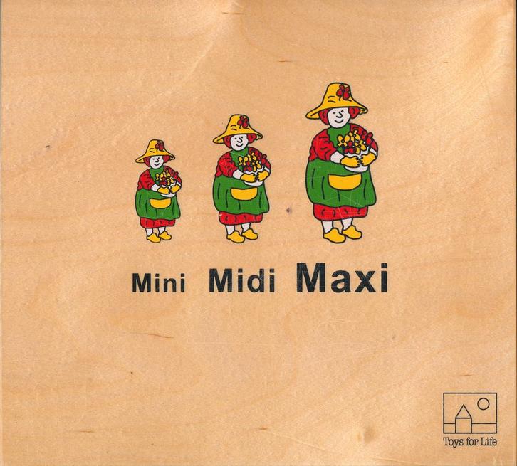 Toys for Life Mini Midi Maxi, Boeken, Schoolboeken, Verzenden