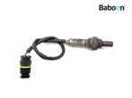 Capteur doxygène BMW G 650 GS 2011-2015 (G650GS G650 11), Motoren, Onderdelen | BMW, Verzenden, Nieuw