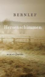 Hersenschimmen 9789021408057 Bernlef, Boeken, Verzenden, Zo goed als nieuw, Bernlef
