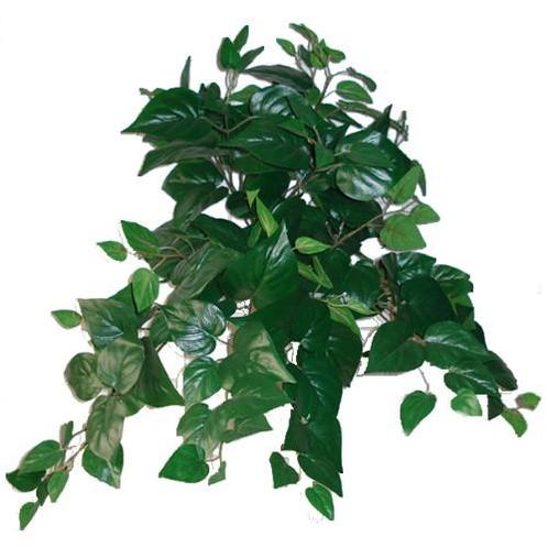 Hanger vuller 55cm. PHILO BUSH GREEN Groen e hangplanten, Maison & Meubles, Accessoires pour la Maison | Plantes & Fleurs artificielles