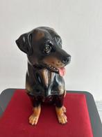 sculptuur, Rottweiler - 57 cm - Keramiek, Nieuw