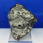 -SANS PRIX DE RESERVE- METEORITE DE FER XL Campo del Cielo