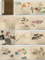 A variety of flower picture album - Signed  - Japan, Antiquités & Art, Antiquités | Autres Antiquités