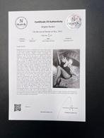 Brigitte Bardot - On the set of Doctor at Sea, 1955. - Fine