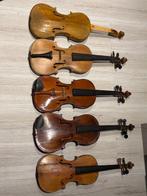 Set of 5 Violins - Rare - - Viool - Onbekend (Zonder