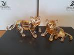 Swarovski - Beeldje - SCS - Annual Edition 2010 - Tiger Cub