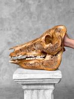 Geen minimumprijs - Vakkundig met de hand uitgesneden wild, Antiek en Kunst