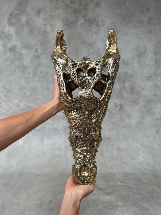 sculptuur, Large Saltwater Crocodile Skull fashioned in, Antiek en Kunst, Kunst | Designobjecten
