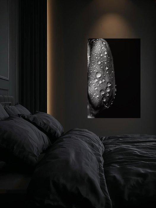 Viktória Farkas - SSA Monochrome Tears - Fine Art Premium, Antiquités & Art, Art | Objets design