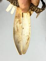 Ketting / primitief welvaartsonderwerp van de familie van de