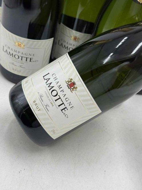 Lamotte - Champagne Brut - 6 Flessen (0.75 liter), Verzamelen, Wijnen