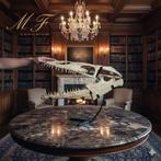 Mosasaure - Crâne fossile - 41 cm - 50 cm, Collections