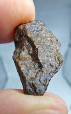 Météorite lodranite. NWA 17904. La météorite est une brèche