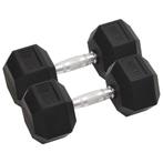 vidaXL Halters 2 st 25 kg gietijzer, Sport en Fitness, Verzenden, Nieuw
