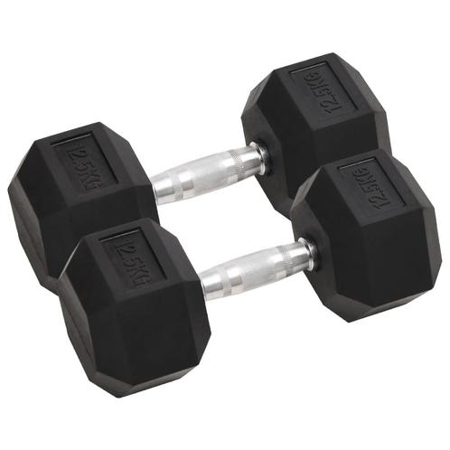 vidaXL Halters 2 st 25 kg gietijzer, Sport en Fitness, Fitnessmaterialen, Nieuw, Verzenden
