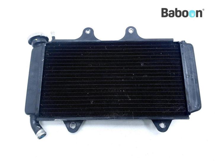 Radiateur KTM 390 RC 2019, Motoren, Onderdelen | Overige, Verzenden