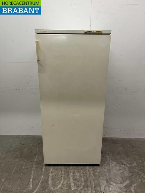 Liebherr GS 5203 Congélateur congélateur 520 litres 230V, Zakelijke goederen, Horeca | Keukenapparatuur, Verzenden