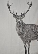 Ultimo! Raro Jacquard wandtapijt in alpaca- en katoenen wol, Antiek en Kunst