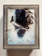 BLUMHOUSE HORROR COLLECTION (IMPORT WITHOUT DUTCH SUBS), Cd's en Dvd's, Gebruikt