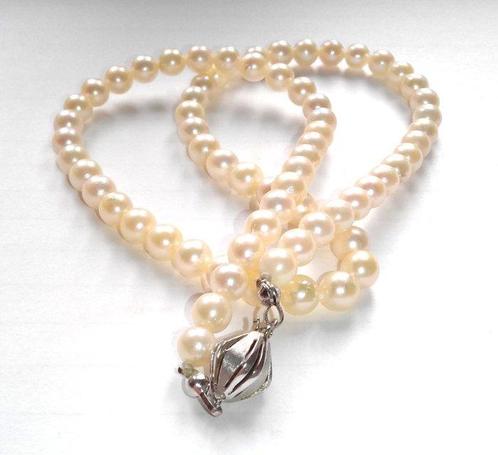Zonder Minimumprijs - Halsketting 14 kt witgoud - Akoya, Handtassen en Accessoires, Kettingen