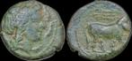 Ca 300-275bc Italy Campania Neapolis Ae17 bull to right B..., Postzegels en Munten, Munten en Bankbiljetten | Verzamelingen, Verzenden