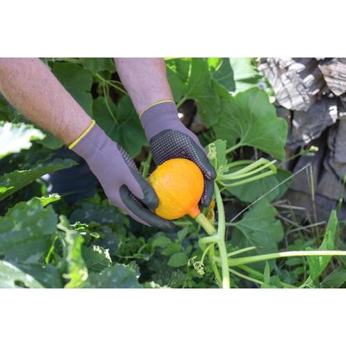 Tuinhandschoen blossom, maat 6 paars met noppen, maat 6/xs -, Tuin en Terras, Werkkleding, Nieuw