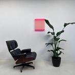 Mitso Rapp - Spectrum 001