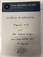 Tessa Posthuma de Boer - Magnolia no.7 (XL)