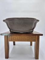 Pot en céramique pour bonsaï 40 x 32 x 11 cm - Sans prix de