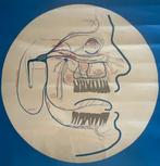 Anonymous - Original Poster VEB Leipzig Arzneimittelwerk,, Antiek en Kunst
