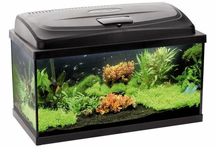 Osaka Classic aquarium 60cm recht, Dieren en Toebehoren, Vissen | Aquaria en Toebehoren, Leeg aquarium, Nieuw, Ophalen of Verzenden