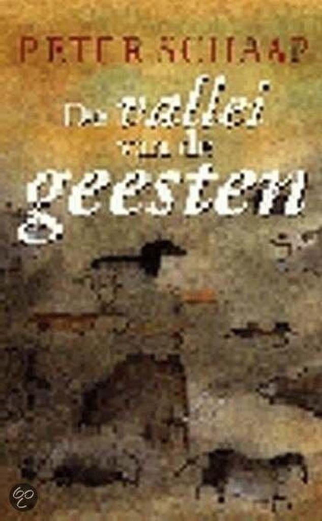 De vallei van de geesten 9789024533848 Peter Schaap, Livres, Livres pour enfants | Jeunesse | 13 ans et plus, Envoi