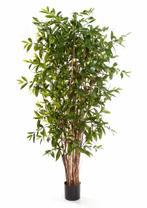 Kunstplant Dracaena Surculosa 150 cm, Verzenden