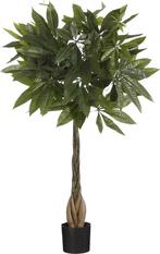 Tweedekans | sMica Decoration Pachira Kunstplant - H80 x Ø60, Huis en Inrichting, Kamerplanten, Ophalen of Verzenden