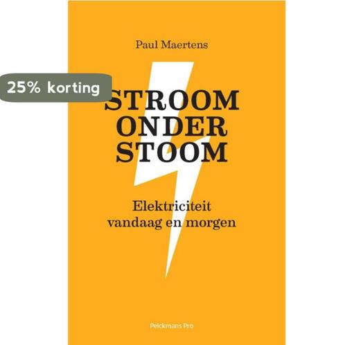 Stroom onder stoom 9789463370073 Paul Maertens, Boeken, Politiek en Maatschappij, Zo goed als nieuw, Verzenden