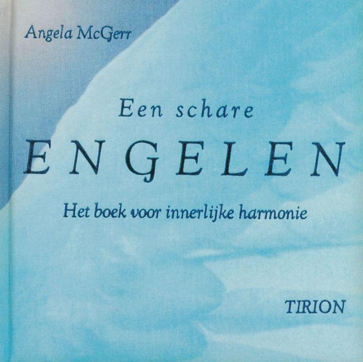 Een schare engelen 9789043904308 Angela MacGerr, Boeken, Esoterie en Spiritualiteit, Gelezen, Verzenden